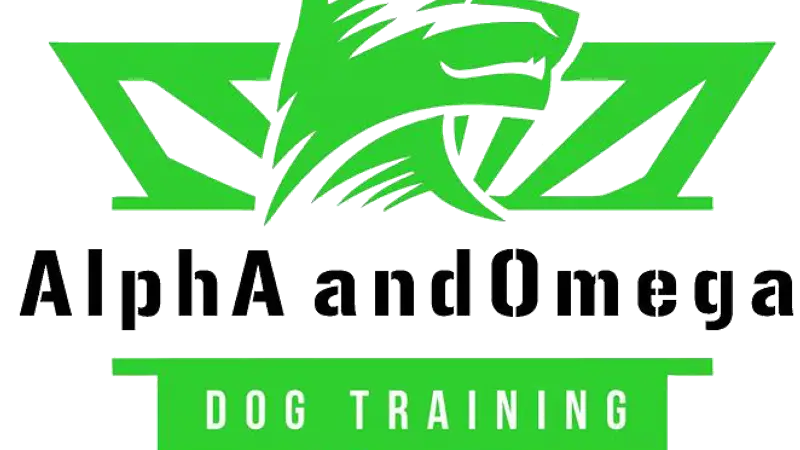 AlphA and Omega Dog Training - St. Petersburg, Florida preview