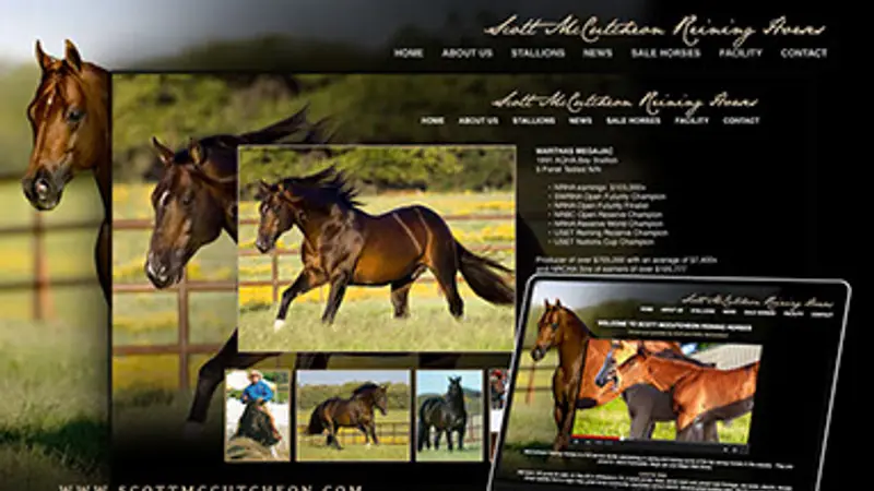 Scott McCutcheon Reining Horses preview