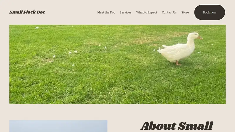 Small Flock Doc preview