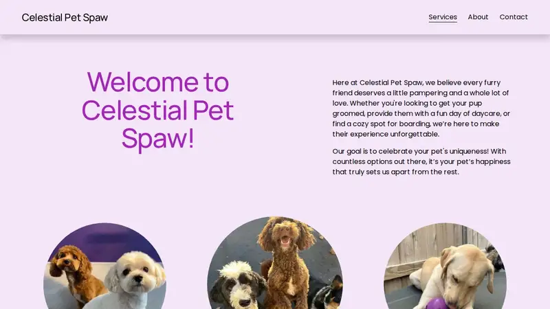 Celestial Pet Spaw preview