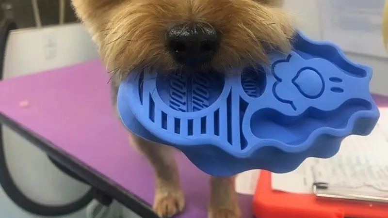 Goin to the Dogs and Cats Grooming preview