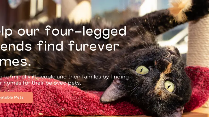 Safe Place for Pets preview