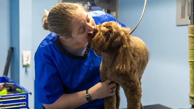 Pawsitively Dogs Grooming preview