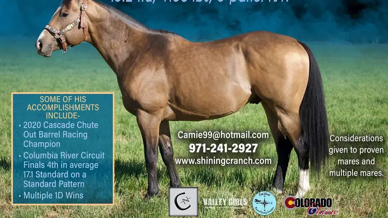 Shining C Ranch preview