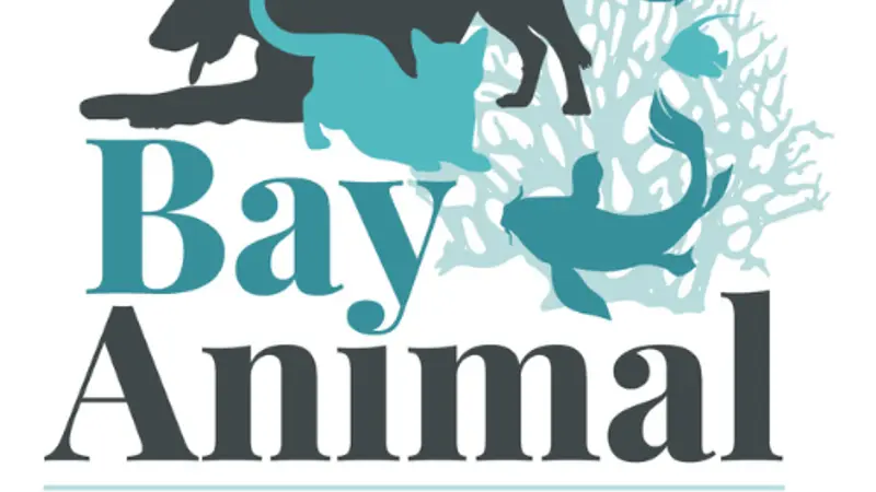 Bay Animal and Aquatic Hospital preview