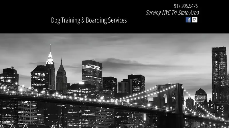 ExclusiveK9 Dog Training & Boarding preview