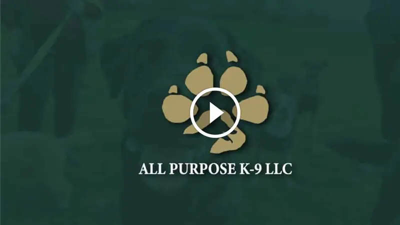 All Purpose K-9 preview