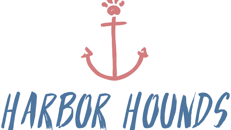 Harbor Hounds preview