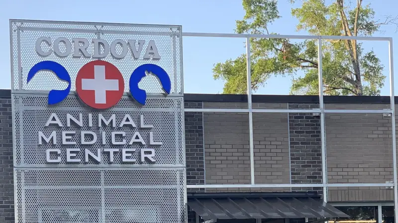 Cordova Animal Medical Center preview