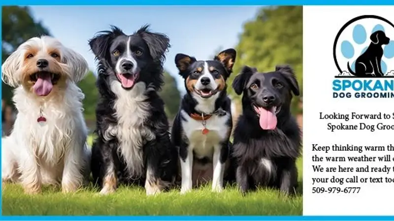 Spokane Mobile Dog Grooming preview