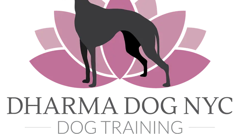 Dharma Dog NYC preview