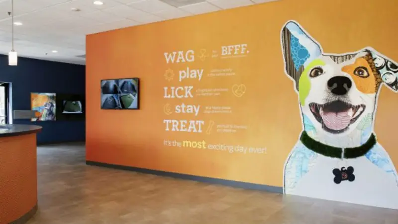 Dogtopia of McKinney preview