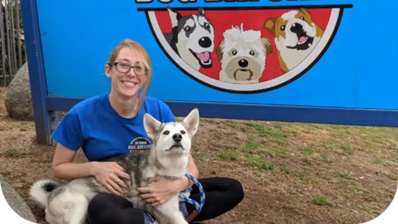 24 Hour Dog Daycare preview