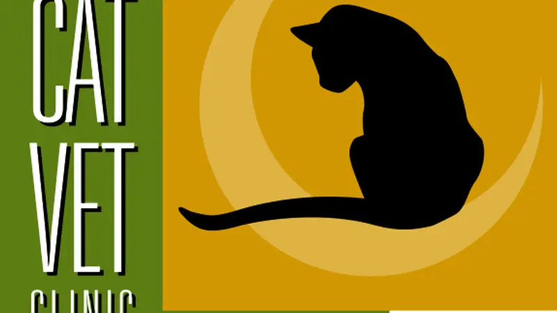 Cat Vet Clinic preview