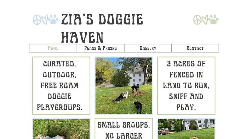 Zia’s Doggie Haven preview