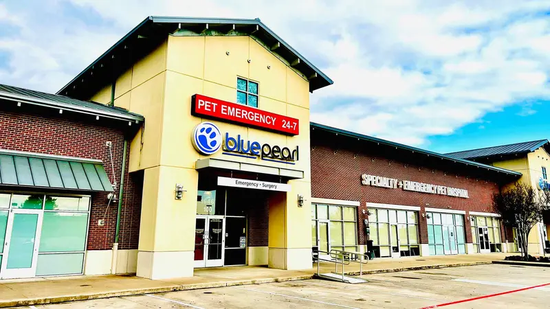 North Houston Veterinary Specialists preview
