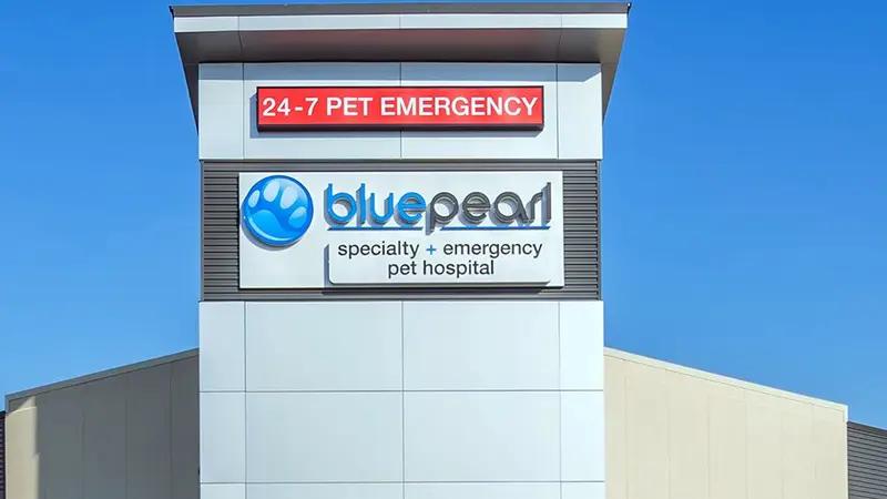 BluePearl Pet Hospital Oklahoma City, OK preview