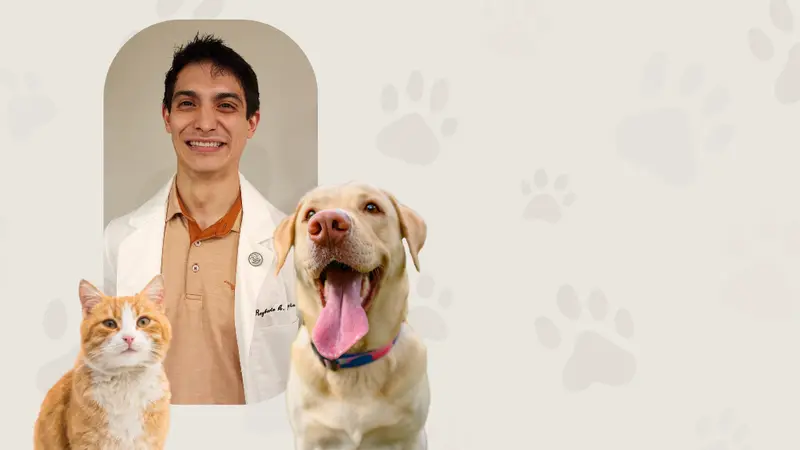 Travis Country Veterinary Hospital preview