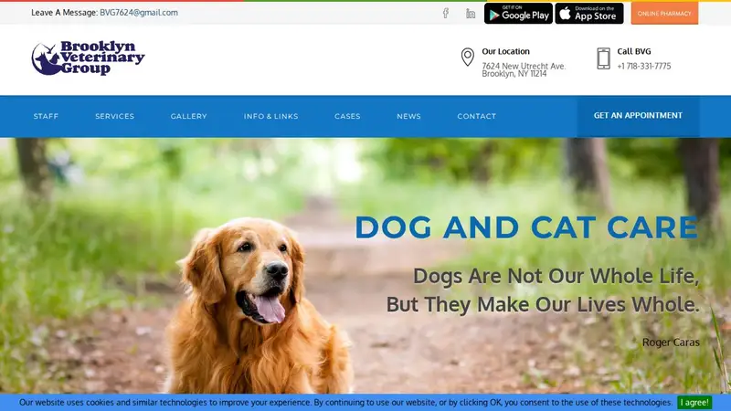 Brooklyn Veterinary Group preview