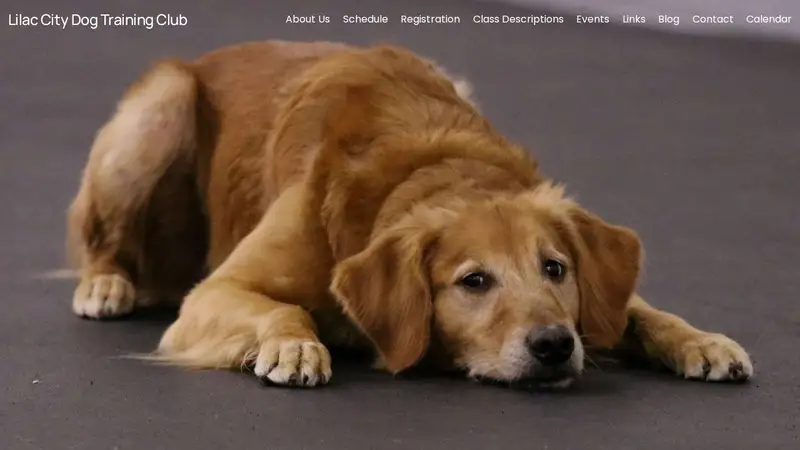 Lilac City Dog Training Club preview
