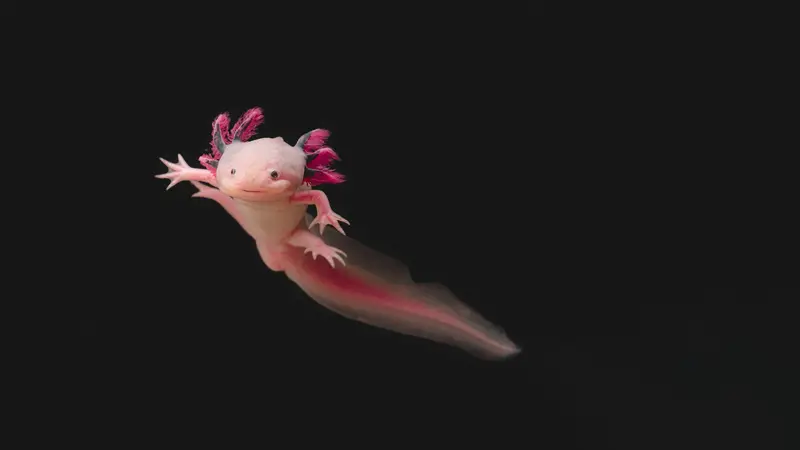 Axolotl Planet preview