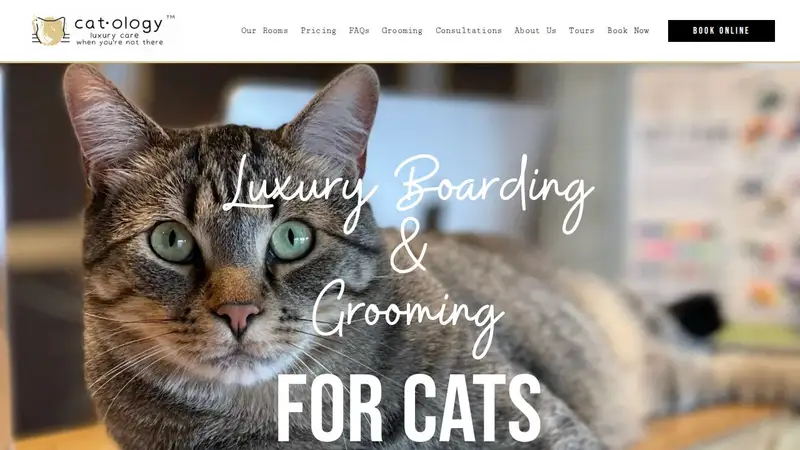 Catology preview