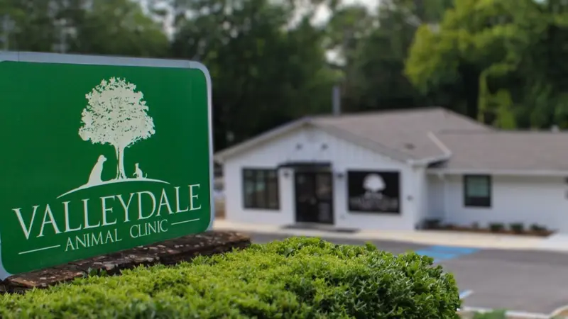 Valleydale Animal Clinic preview