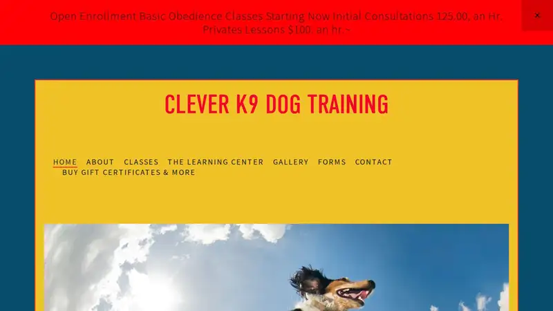Clever K9 Dog Training preview