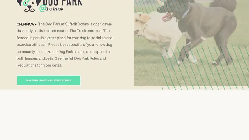 Dog Park at The Track preview