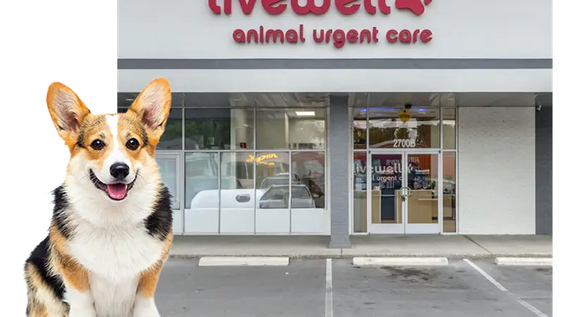 Livewell Animal Urgent Care of East Nashville preview