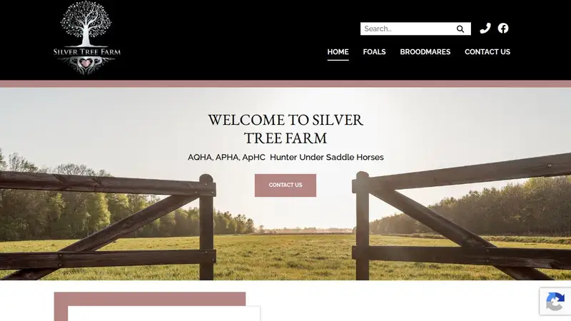 Silver Tree Farm preview