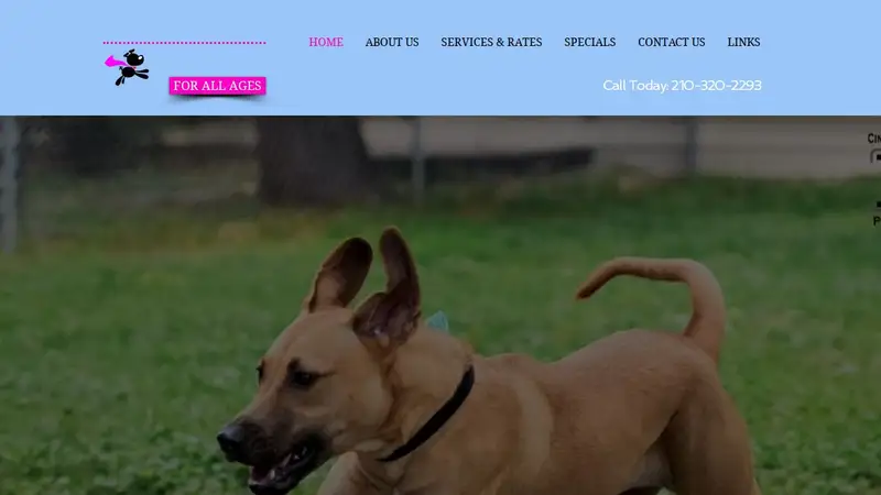Puppy Power Dog Resort preview