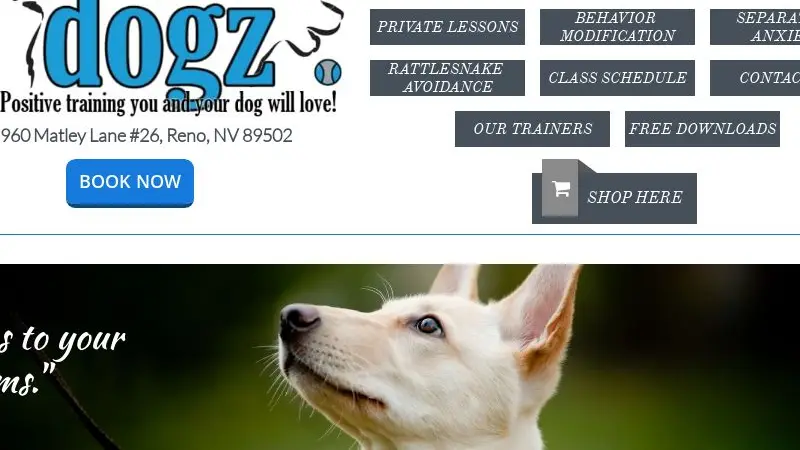 dogz training and behavior preview