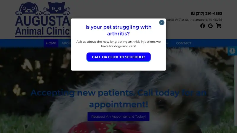 Augusta Animal Clinic preview