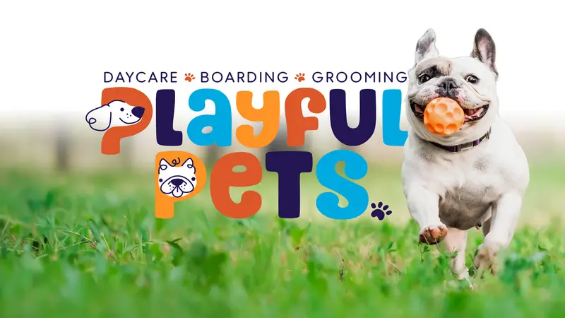 Playful Pets preview