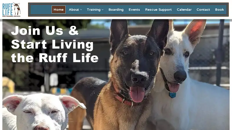 Ruff Life Dog Training Services preview