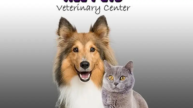 All Pets Veterinary Center preview