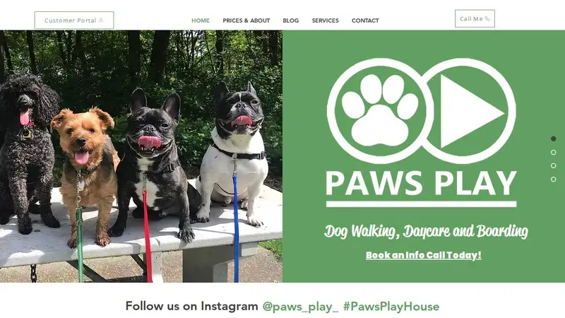 Paws Play Doggy Daycare preview