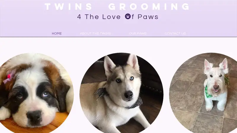 Twins Grooming preview