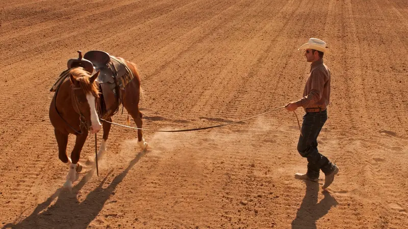 Jade Keller Performance Horses preview