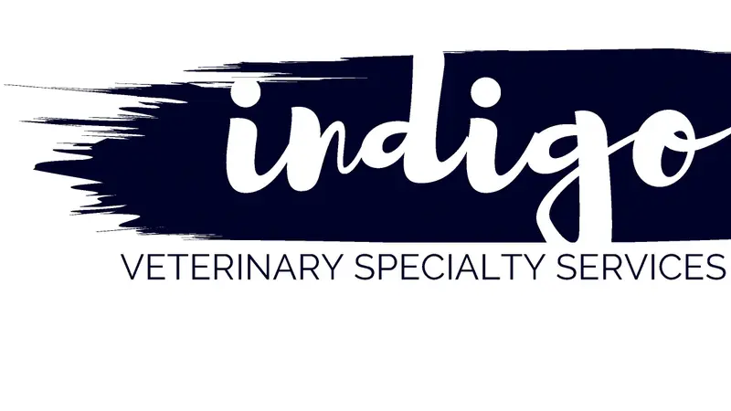 Indigo Veterinary Specialists preview