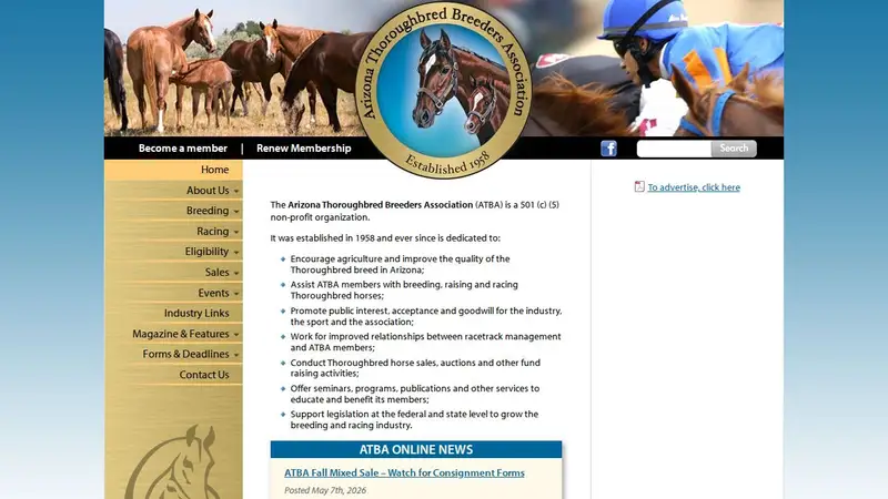 Arizona Thoroughbred Breeders preview