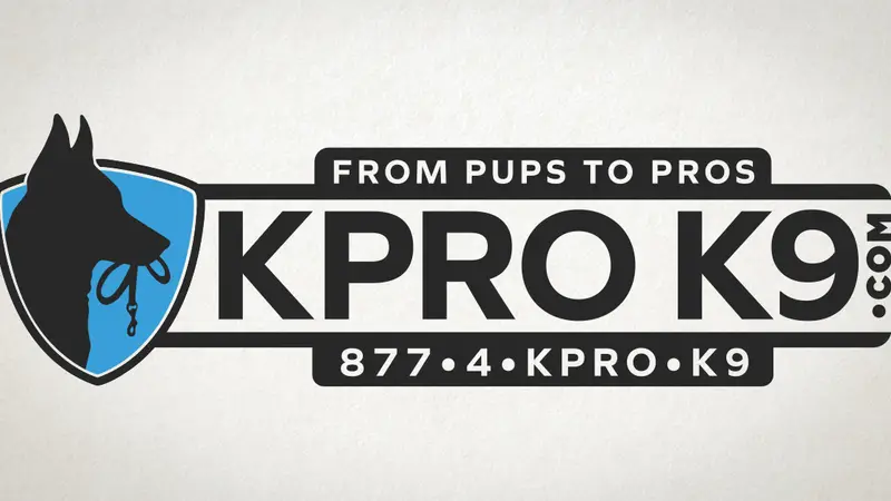 KPro K9 preview
