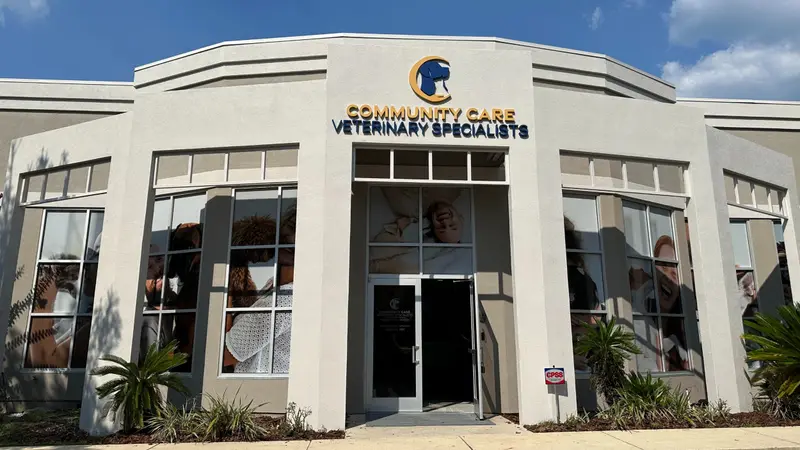 Community Care Veterinary Specialists preview