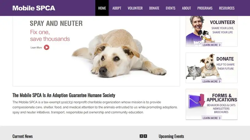 Eight Mile Animal Clinic, LLC preview
