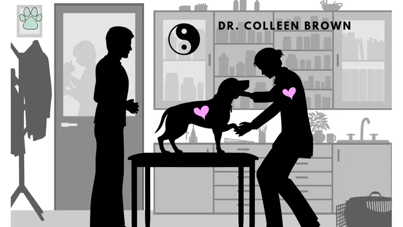 Soul Puppy Holistic Healing preview