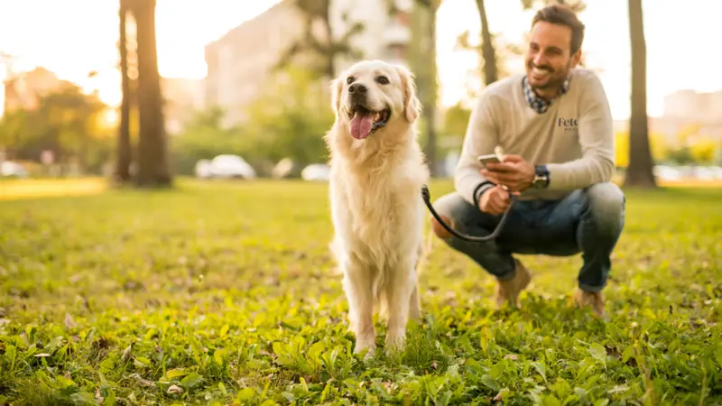 Fetch! Pet Care of Duluth preview