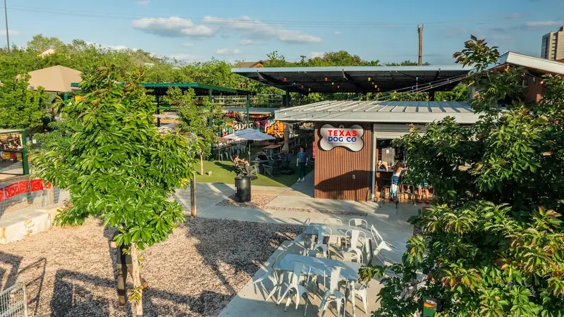 The Dog Co. Icehouse preview
