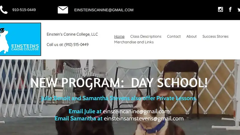 Einstein's Canine College preview