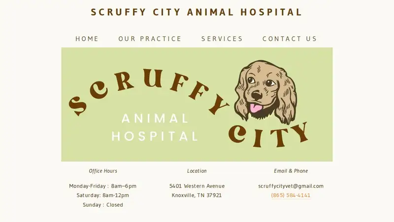 Scruffy City Animal Hospital preview